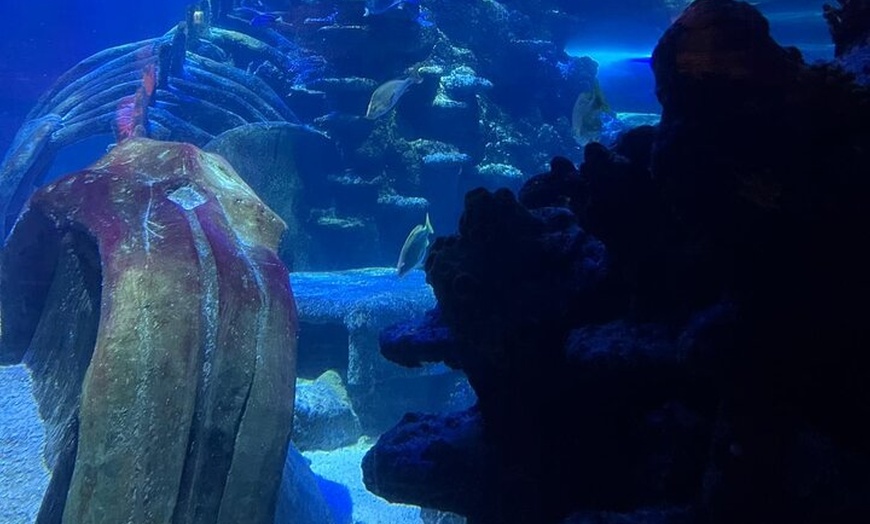 Image 33: Luxury Private Tour in London