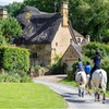 Image 2: Oxford : Cotswolds Tour (Hotel Transport)