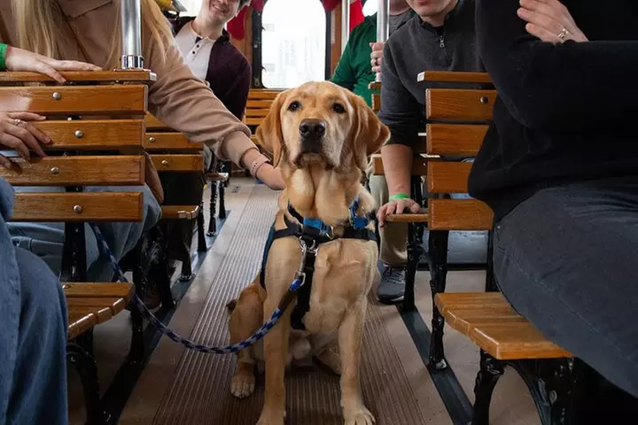 Brewery Hop-On Hop-Off Trolley Tour of Nashville