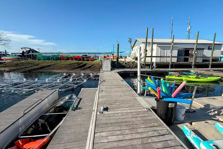 Clear Kayak Manatee Ecotour of Crystal River