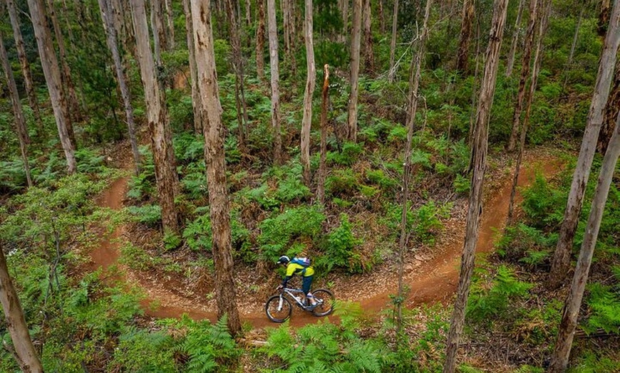 Image 3: Wooditjup Trails MTB Tour