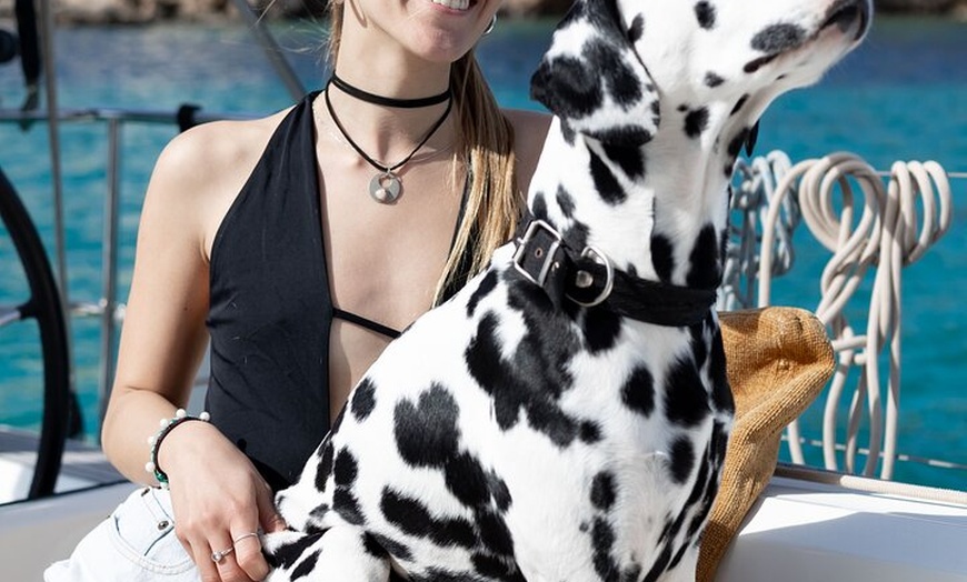 Image 28: Excursión privada en Yate a vela al atardecer