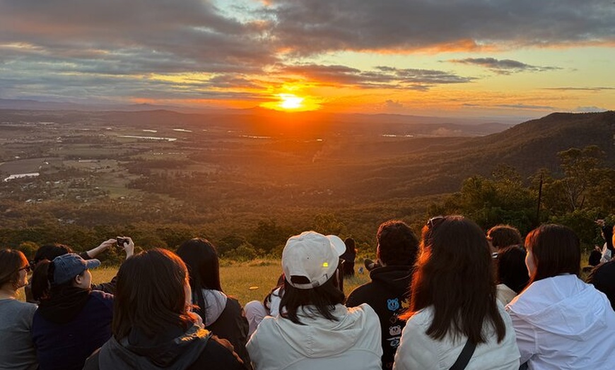 Image 6: Lamington & Tamborine Day Tour: O'Reilly's, Curtis Falls & Sunset