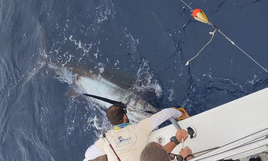 Image 4: Macaronesia Charter de Pesca en La Gomera (Islas Canarias)