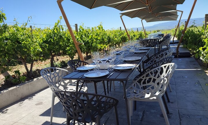 Image 19: Rioja Alavesa: Auténticas experiencias de vino