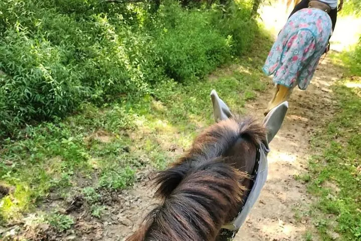 B&C horseback riding in nature and Keeneland racetrack.