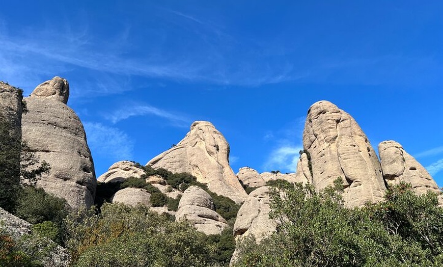Image 34: Excursión privada al Monasterio de Montserrat con recogida en el hotel
