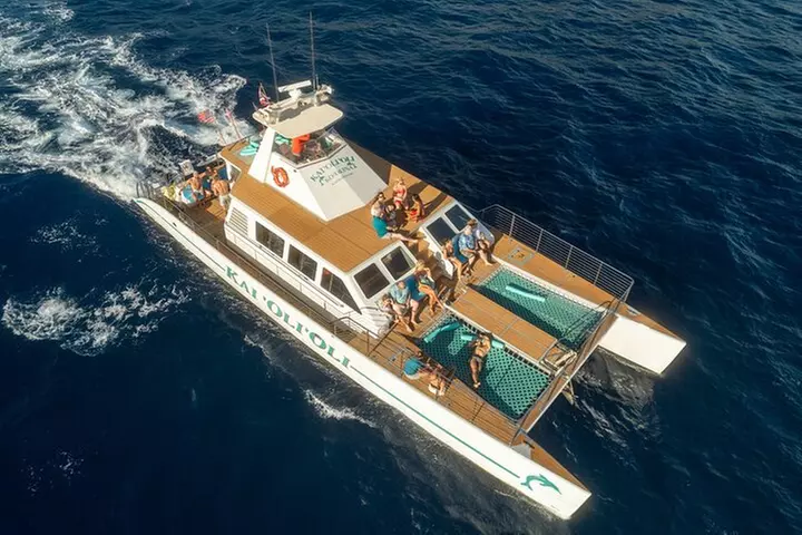 Oahu: Private Sunset Cruise and Dolphin Watch with Hot Buffett