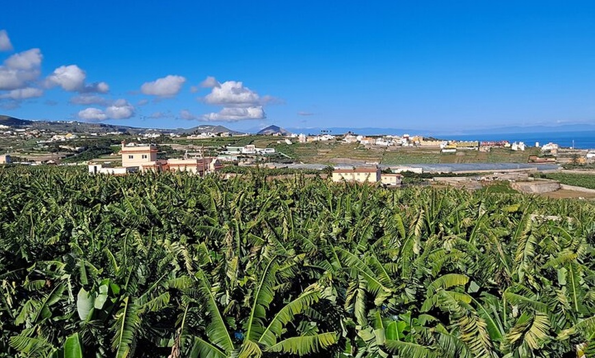 Image 6: Sabores de Gran Canaria Un Día de Sabores y Cultura