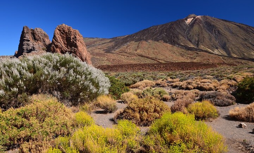 Image 7: Parque Nacional del Teide Paisajes y vida silvestre del volcán Safa...