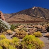 Image 7: Parque Nacional del Teide Paisajes y vida silvestre del volcán Safa...