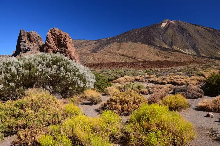 Parque Nacional del Teide Paisajes y vida silvestre del volcán Safari Ride - Image 7