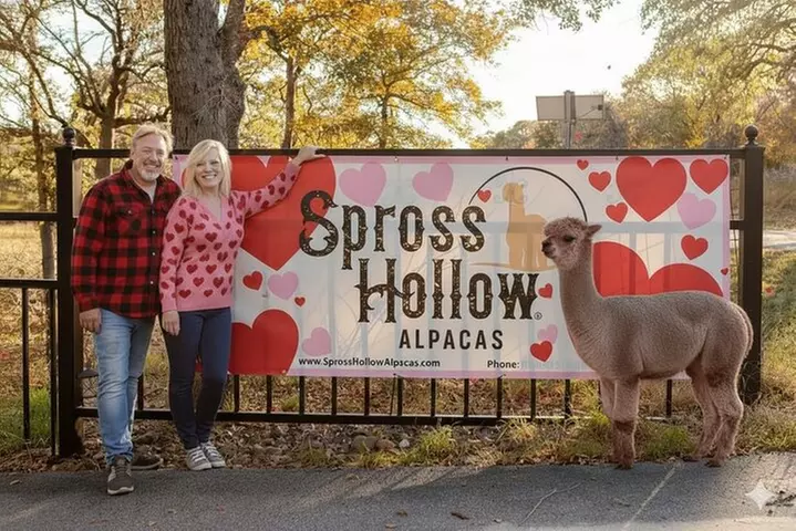 Alpaca Experience Tour - Primary Image