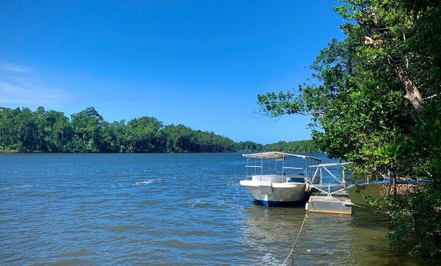 Image 6: Ultimate Daintree Rainforest Wildlife Experience Cruise