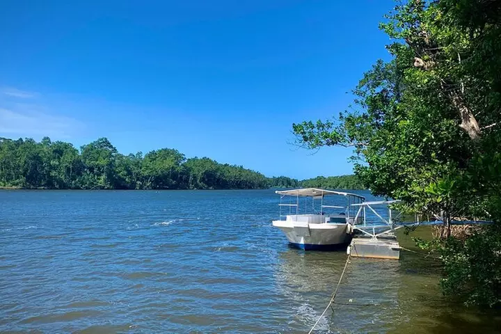 Ultimate Daintree Rainforest Wildlife Experience Cruise