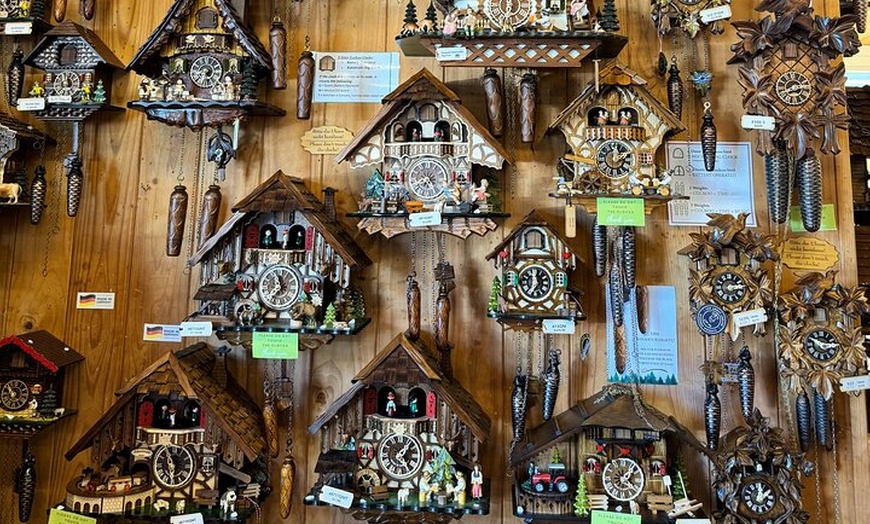 Image 12: Lamington & Tamborine Day Tour: O'Reilly's, Curtis Falls & Sunset