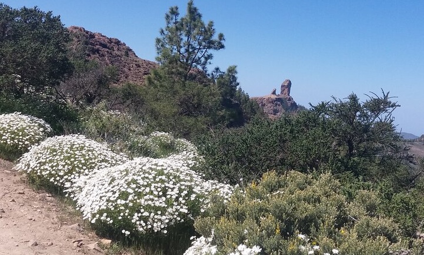 Image 2: Caminatas Roque Nublo