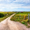 Image 8: ✈ QUEBEC | Montreal - Autotour Sulle Strade del Québec 3*, 12 notti...