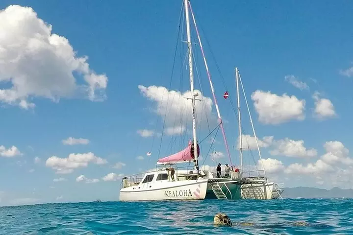 Waikiki: Turtle Canyon Snorkel