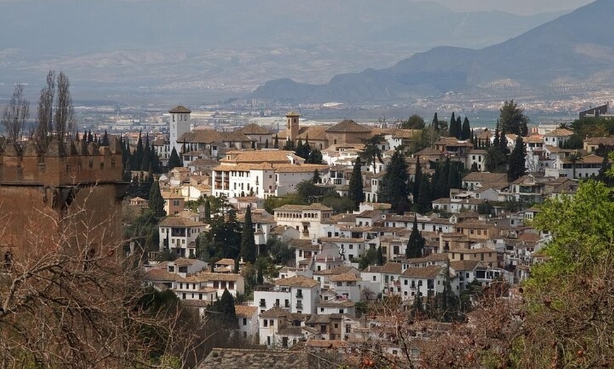 Image 7: Visita Guiada a la Alhambra con Guías Oficiales