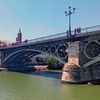 Image 13: Sevilla : Crucero por el río Guadalquivir con almuerzo o cena