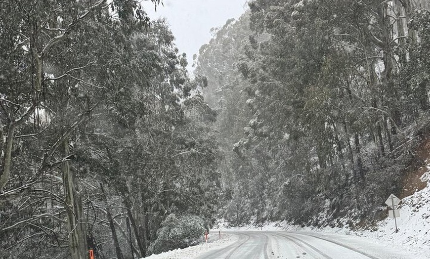Image 9: Melbourne: Ultimate Mt Baw Baw Snow Private Tour Experience.