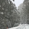 Image 9: Melbourne: Ultimate Mt Baw Baw Snow Private Tour Experience.