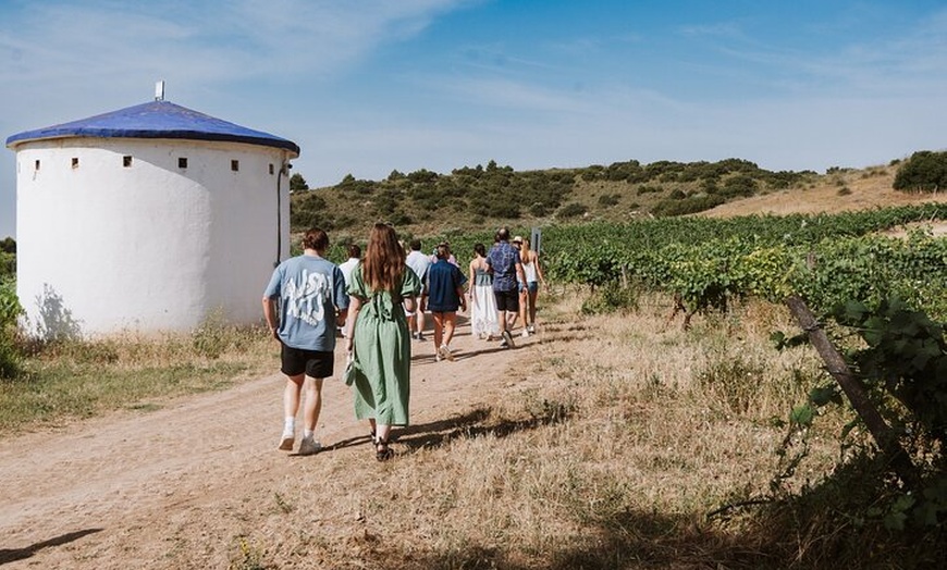 Image 18: Visita Guiada a Bodegas Rurales de Madrid con Cata de Vinos