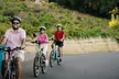 Half Day Guided Electric Bike Wine Tasting Tour with Lunch - Second Medium