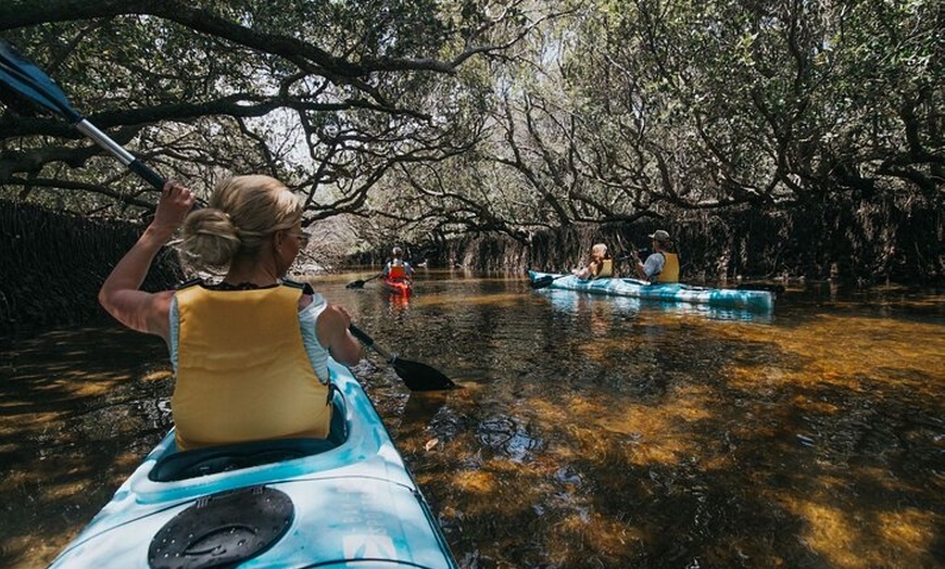 Image 1: Dolphin Sanctuary Kayak Tour Adelaide