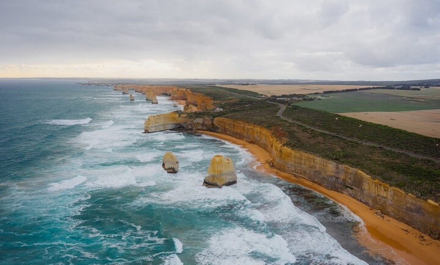 Image 9: Great Ocean Road and Twelve Apostles Private Tour
