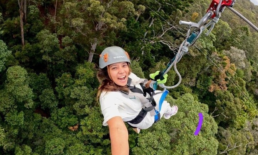 Image 9: Treetop Challenge Adrenaline Pass