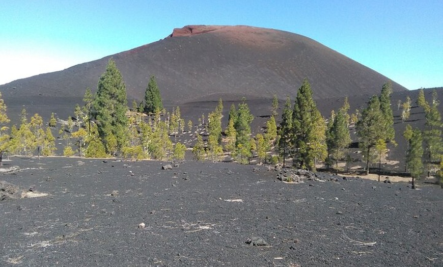Image 4: Viajes en el tiempo entre los volcanes Trevejo y Chinyero en Tenerife