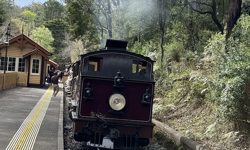 Image 12: Private Puffing Billy Steam Train and Healesville Sanctuary Tours
