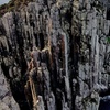 Image 14: Hobart: Cape Hauy Adventure Hike - rugged cliffs & wild beauty