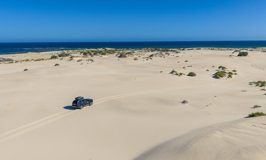 Image 6: Coffin Bay Tour with Oyster Shucking and Off Road Adventure