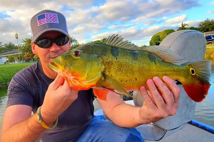 Peacock Bass Fishing Trips Near Key Largo