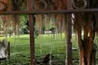 Savannah's Ghost City "Dead of Night" Walking Night Tour - Second Medium