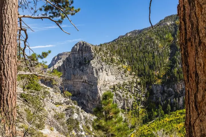 Mount Charleston Tour from Las Vegas
