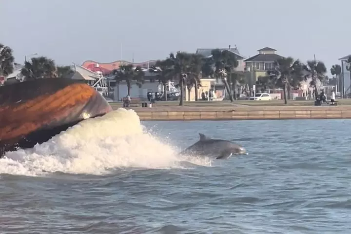Private Dolphin Watch and Sunset Boat Tour Port Aransas Texas