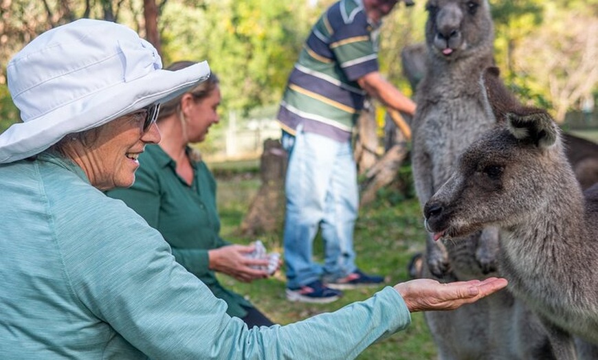 Image 4: Tour from Eden to Merimbula Wetlands Wildlife and Coastline