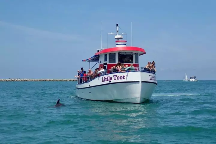 Little Toot Dolphin Adventure at Clearwater Beach