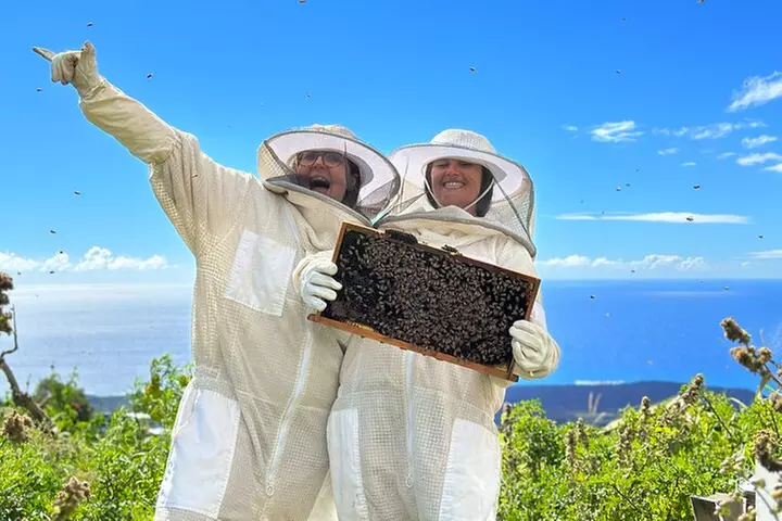 Honey Bee Adventure at the Maui Honey Bee Sanctuary