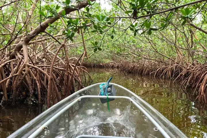 3-Hour Clear Kayak Beach Hopping Adventure in Sarasota