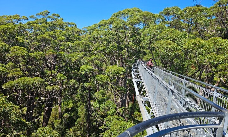 Image 2: 2 Day Tour Busselton Jetty, Ngilgi Cave to Valley of the Giants