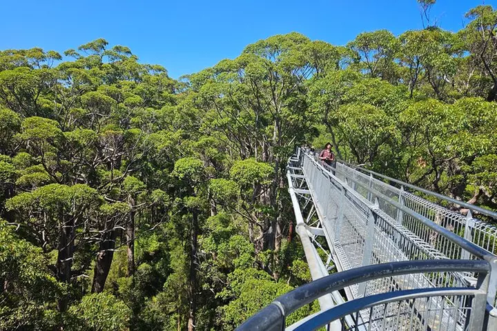 2 Day Tour Busselton Jetty, Ngilgi Cave to Valley of the Giants - Primary Image