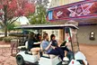 Historical Golf Cart Tour of Tuscaloosa Landmarks - Second Medium