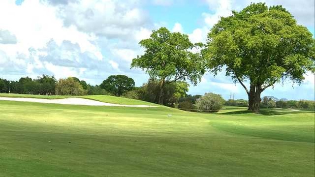 Online Booking - Round of Golf at Miccosukee Golf and Country Club - Primary Image
