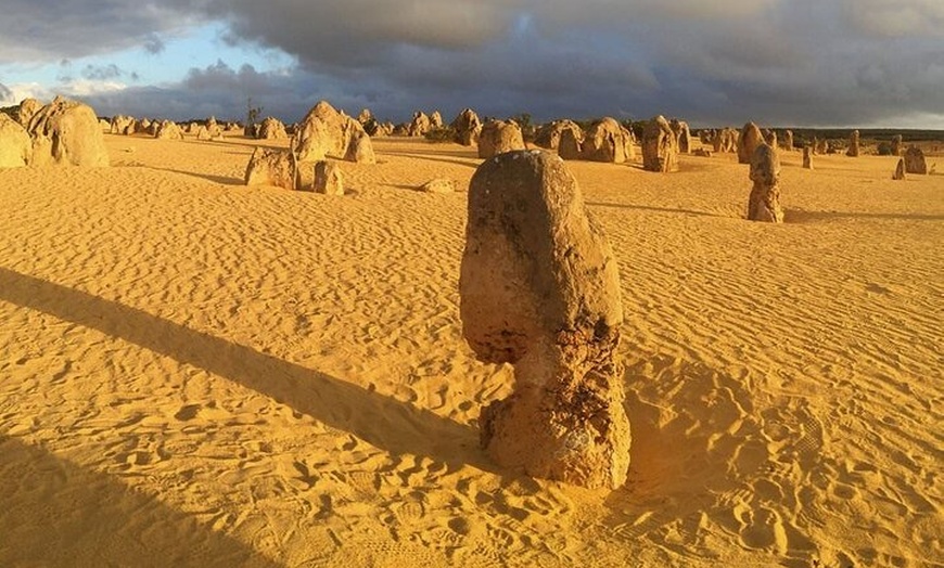 Image 2: Pinnacles and Swan Valley Day Tour