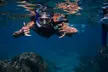 Wailea Wildlife Tour with Snorkeling - Second Medium